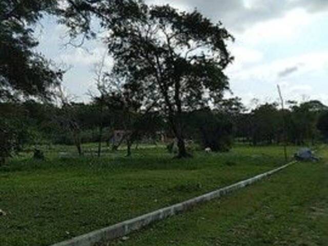 Área para Venda em Araruama - 5