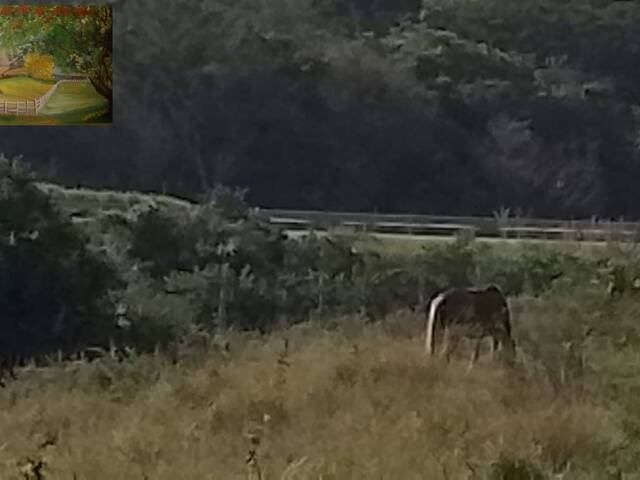 #289 - Terreno para Venda em Iguaba Grande - RJ - 3