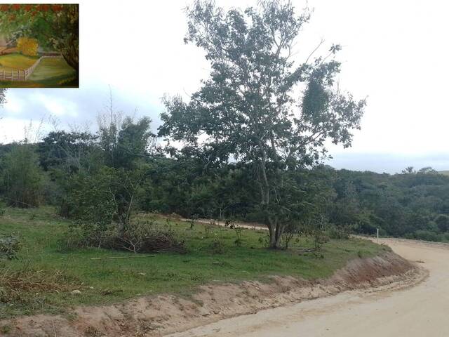 #297 - Terreno para Venda em Iguaba Grande - RJ - 1
