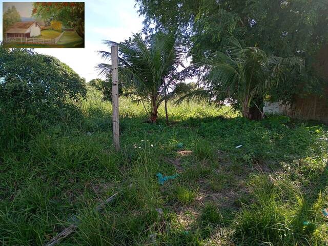 #306 - Terreno para Venda em Araruama - RJ - 1