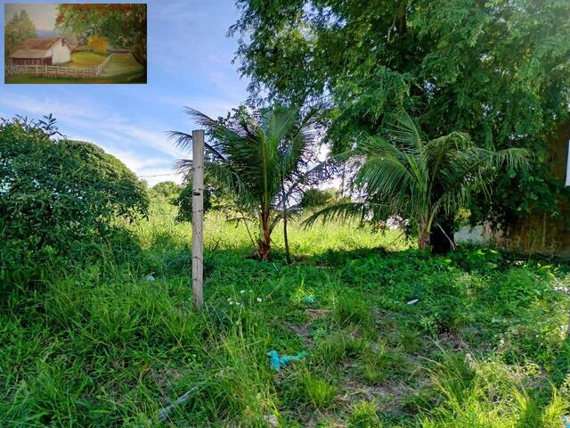 #306 - Terreno para Venda em Araruama - RJ - 2
