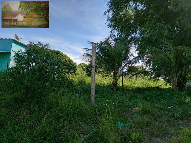 Terreno para Venda em Araruama - 4