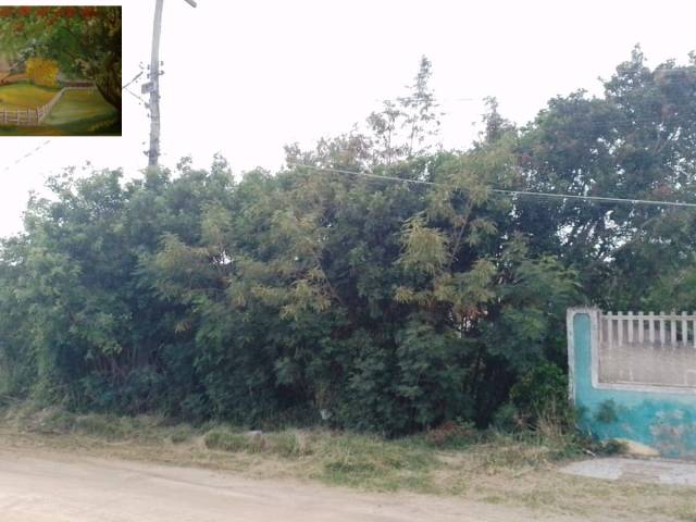 Terreno para Venda em Iguaba Grande - 5